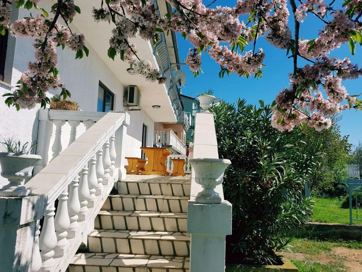 Apartment Verda Senj  Exterior foto